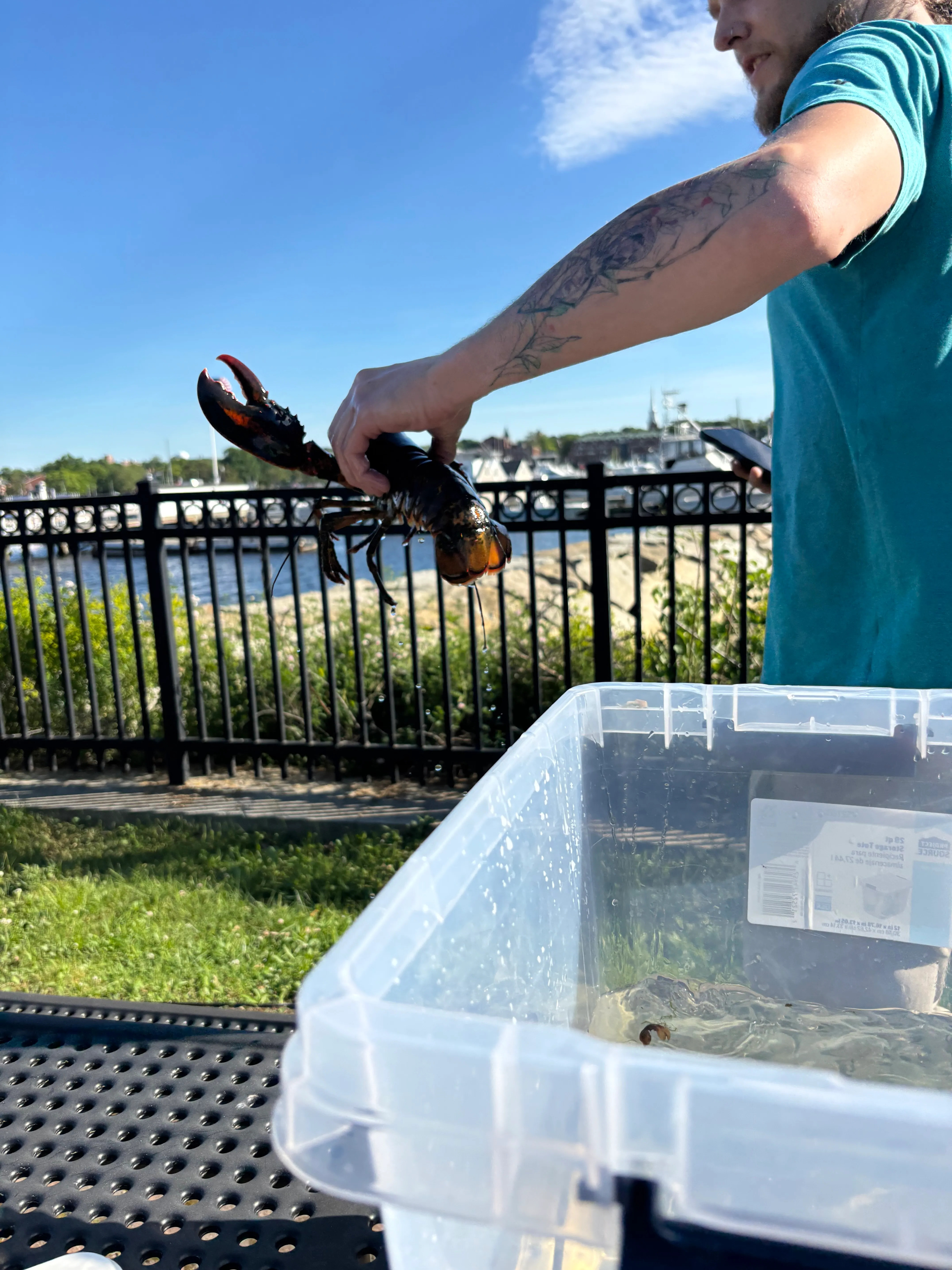 Stinbo held up before release